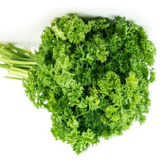 Papaw's Garden Supply Mossy Curled Parley Annual Herb Seeds, 250 Seed Count per Pack.