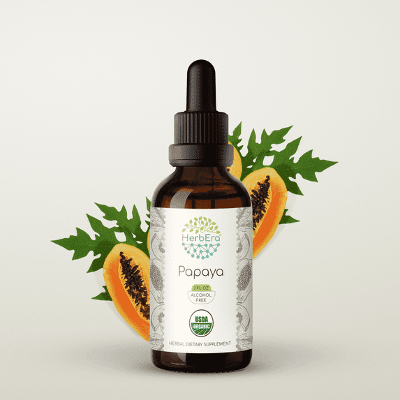 HerbEra Papaya Tincture, Organic Herbal Dietary Supplement for Digestive Support, Certified Organic Papaya (Carica papaya) Dried Leaf Extract, Natural, Alcohol-Free, Drops 2 oz