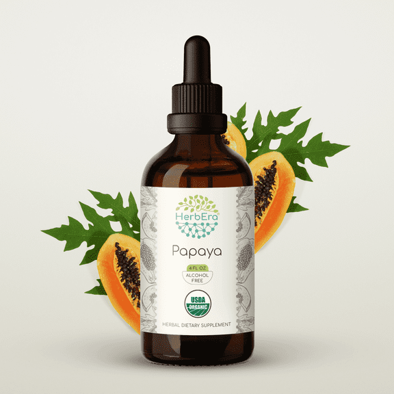 HerbEra Papaya Tincture, Organic Herbal Dietary Supplement for Digestive Support, Certified Organic Papaya (Carica papaya) Dried Leaf Extract, Natural, Alcohol-Free, Drops 4 oz