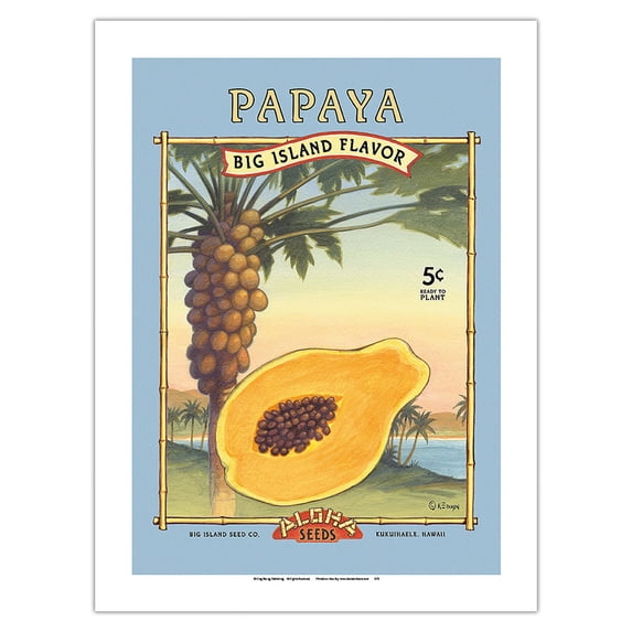 Papaya - Aloha Seeds - Big Island Seed Company - Big Island Flavor - Vintage Seed Packet by Kerne Erickson - Bamboo Fine Art 290gsm Paper (Unframed) 12x16in