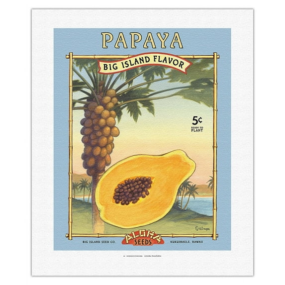 Papaya - Aloha Seeds - Big Island Seed Company - Big Island Flavor - Vintage Seed Packet by Kerne Erickson - Fine Art Rolled Canvas Print 16in x 20in