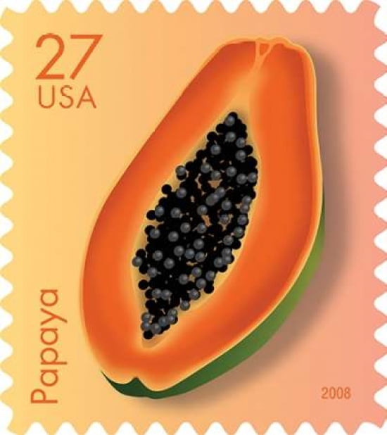 Papaya Canvas Art - US POSTAL SERVICE (24 x 24)