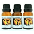 thumbnail image 1 of Papaya (Made in USA) 3 Bottles 1/2 fl oz Each (15ml) Premium Grade Scented Fragrance Oil Made in USA, 1 of 1