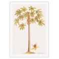 thumbnail image 1 of Papaya Tree (Carica papaya L.) - Vintage Botanical Illustration by Georg Dionysius Ehret c.1700s - Fine Art Rolled Canvas Print 27in x 40in, 1 of 4