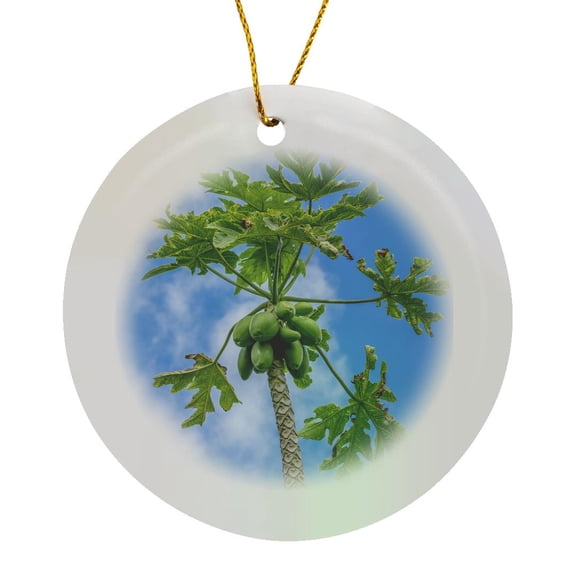 3drose, Papaya Tree., Circle Porcelain Ornament