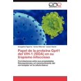 thumbnail image 1 of Papel de La Proteina Gp41 del Vih-1 (Sida) En Su Tropismo Infeccioso (Paperback), 1 of 1