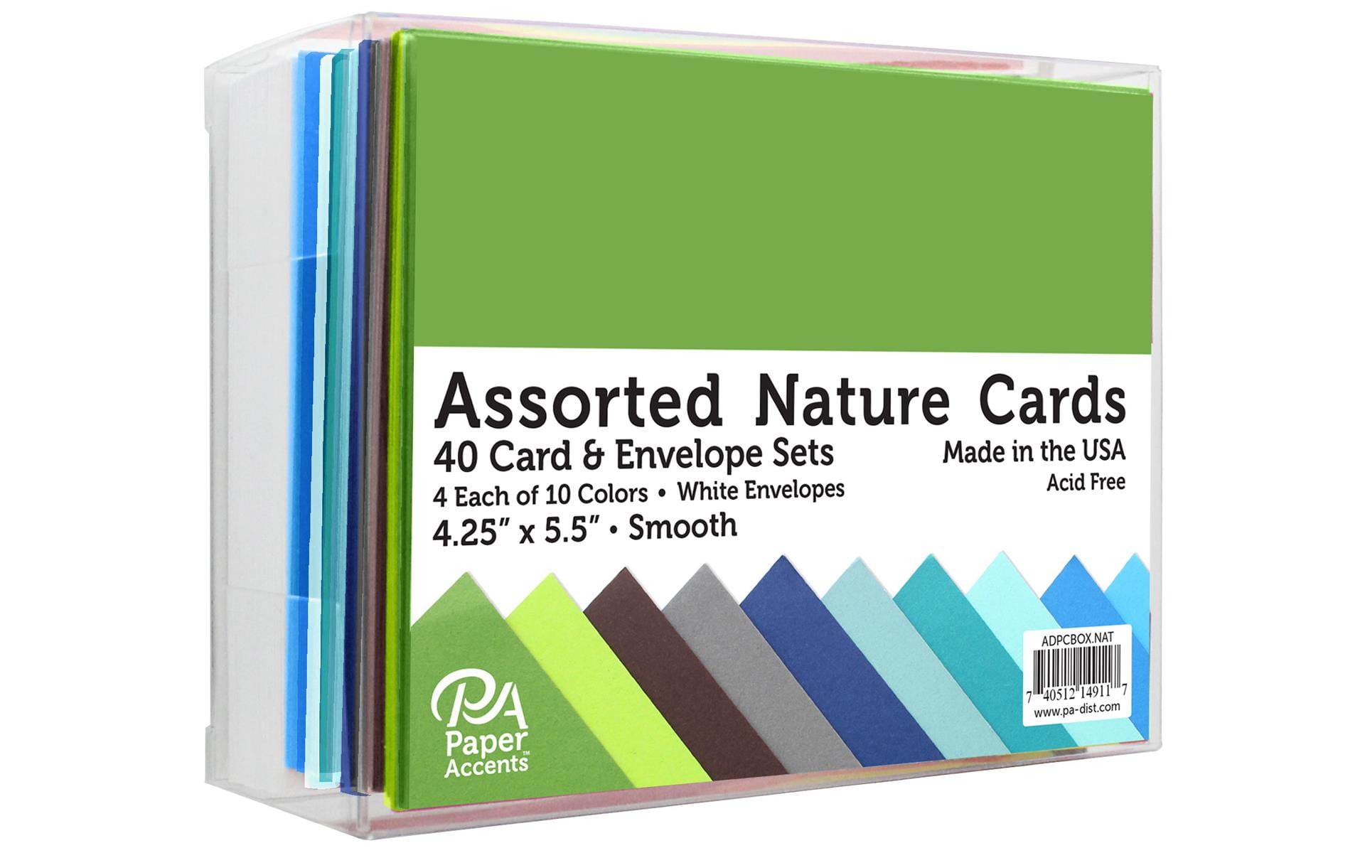 Paper Accents Card & Envelopes 4.25"x 5.5" Smooth Nature Assorted 40pc