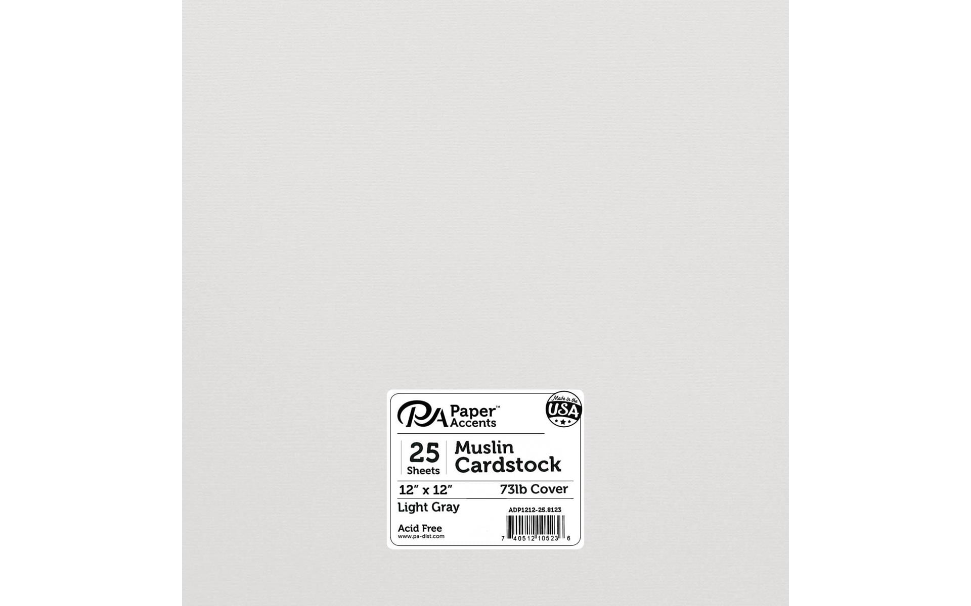 Paper Accents Cardstock 12"x 12" Muslin 73lb Light Gray 25pc