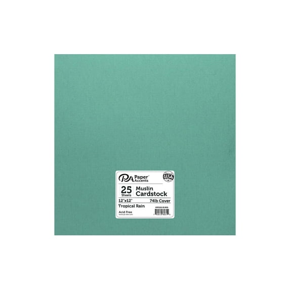 Paper Accents Cardstock 12"x 12" Muslin 73lb Tropical Rain 25pc