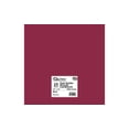 thumbnail image 1 of Paper Accents Cardstock 12"x 12" Stash Builder 65lb Wine 25pc, 1 of 3