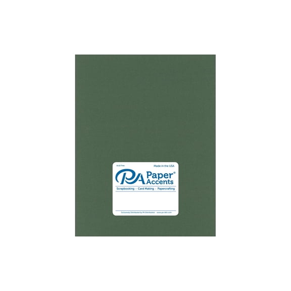 Paper Accents Cardstock 8.5"x 11" Pearlized 105lb Moss 25pc