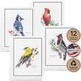 thumbnail image 1 of Paper - Assorted American Birds Greeting Cards - Stationery Cards with Envelopes - Thank You Card - Blank Note Cards - Greeting Cards for All Occasions - Made in USA (5.5 x 4.25, Set of 12), 1 of 9