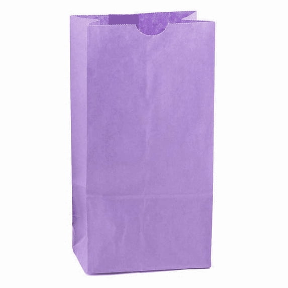 Hygloss Products Purple Paper Bags – For Party Favors, Arts, Crafts 3.5 x 6 x 11 Inch, 100 Pack