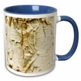thumbnail image 1 of 3drose, Paper Birch Tree, Washington Arboretum, Seattle - Us48 Dgu0233 - Darrell Gulin, 15oz Two-tone Blue Mug, 1 of 6