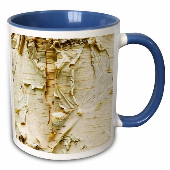 3drose, Paper Birch Tree, Washington Arboretum, Seattle - Us48 Dgu0233 - Darrell Gulin, 15oz Two-tone Blue Mug