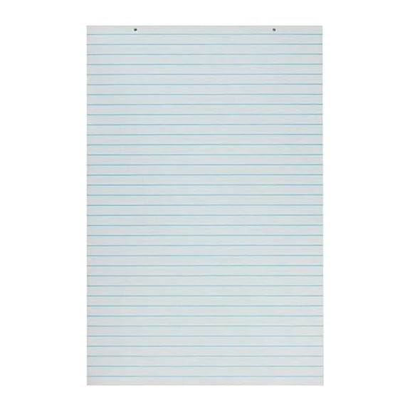 Paper Chart 24X32 SW RLD 1 in 70 SHTS