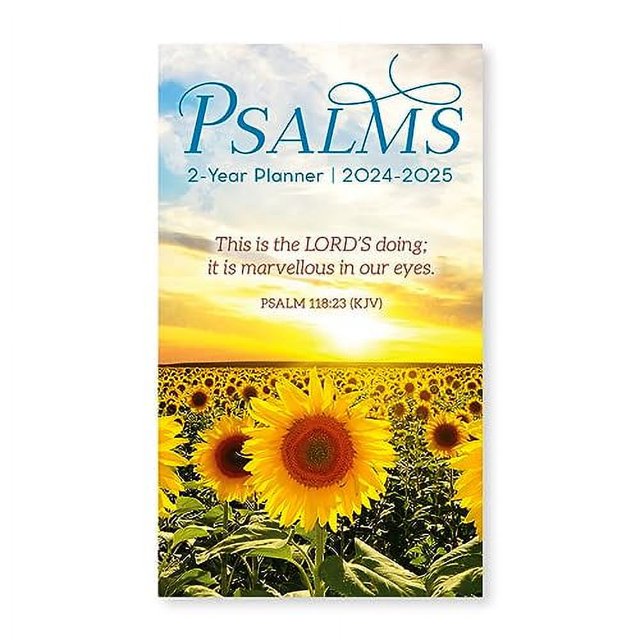 Paper Craft 20242025 Value Pocket Calendar for Planning, Scheduling