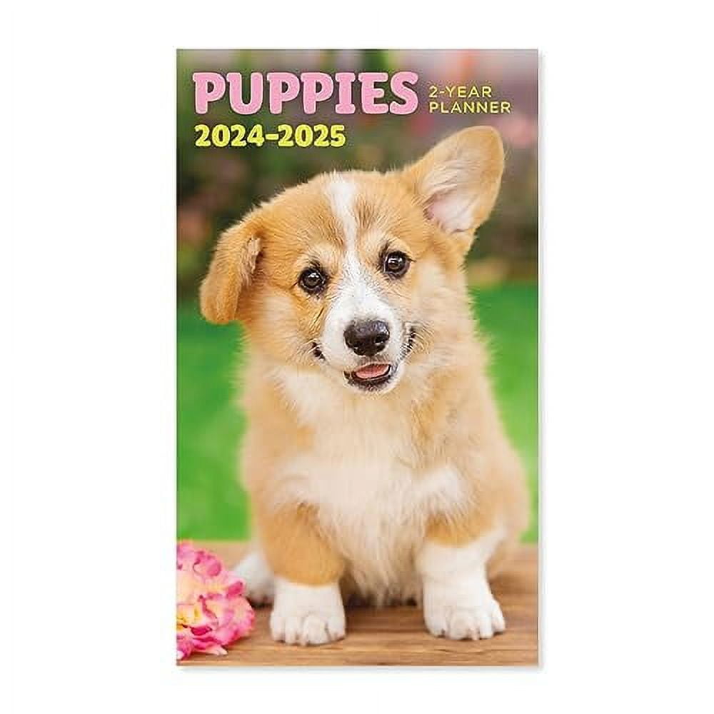 Paper Craft 20242025 Value Pocket Calendar for Planning, Scheduling