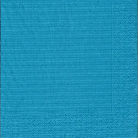 Paper Dinner Napkins 20ct 8603D Grosgrain Turquoise