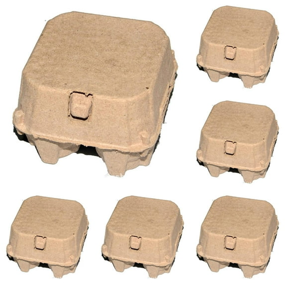 Paper Egg Trays, Suitable for Egg Storage Containers, Storage Racks for Chicken and Eggs in Home Farms, Markets, and Refrigerators 5PCS