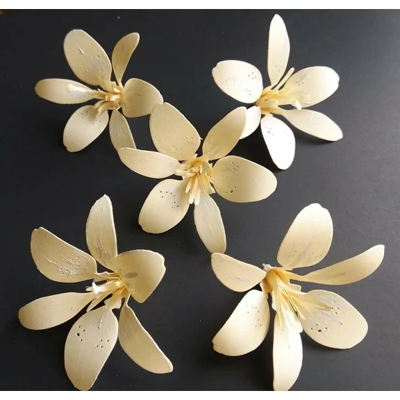Paper Flowers 3-D Handcrafted 5 Pcs Cream Diy Wedding Party Decor Craft Backdrop