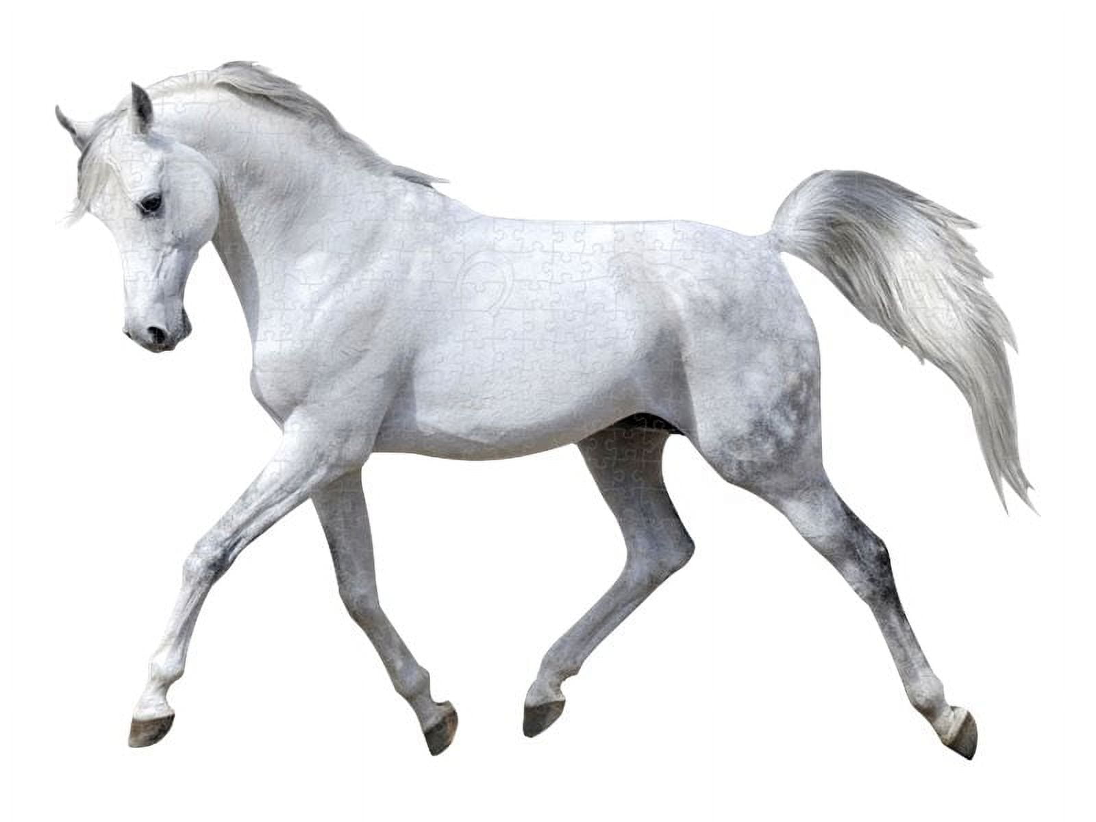 Paper House White Horse jigsaw puzzle 300 pieces