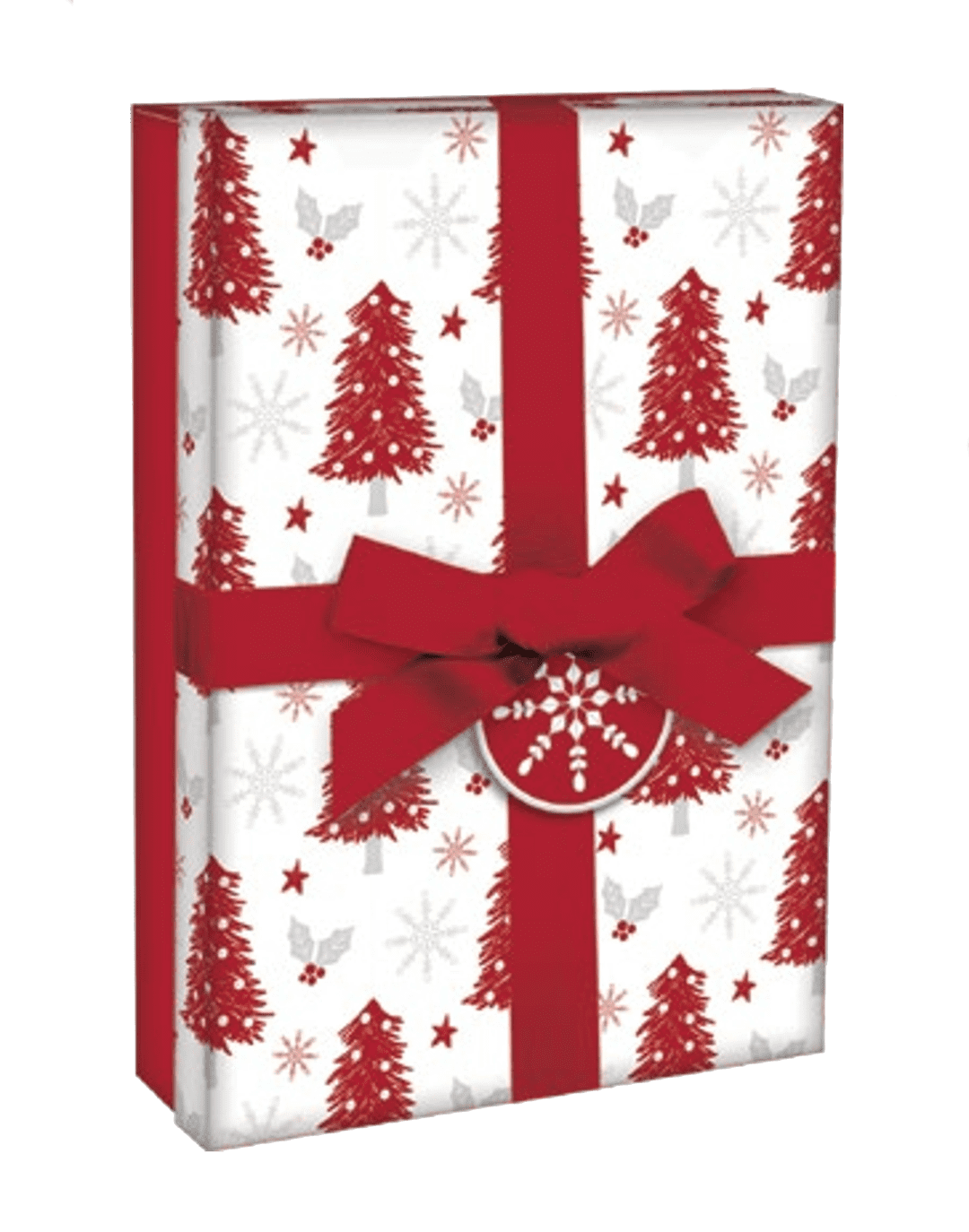 paper-images-1pack-rectangular-giftbox-with-ribbon-red-large