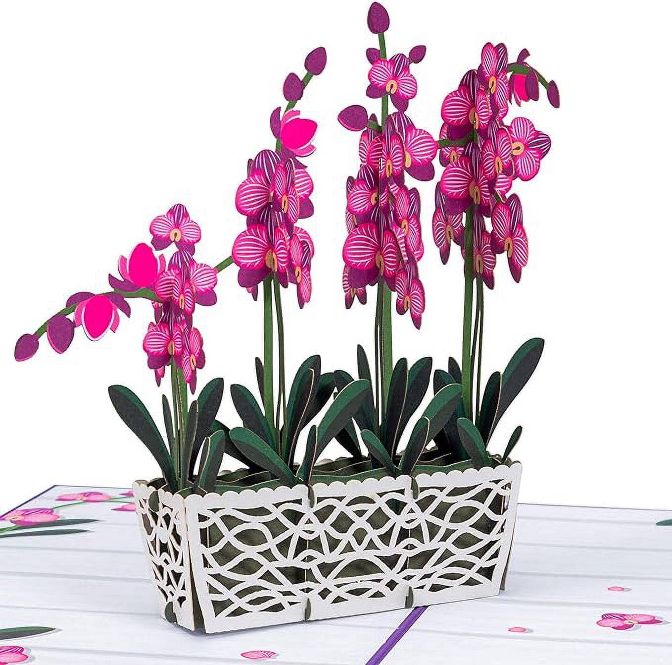 BIGLIETTO AUGURI COMPLEANNO Pop-Up, Biglietto Auguri Fiore Con Farfalla