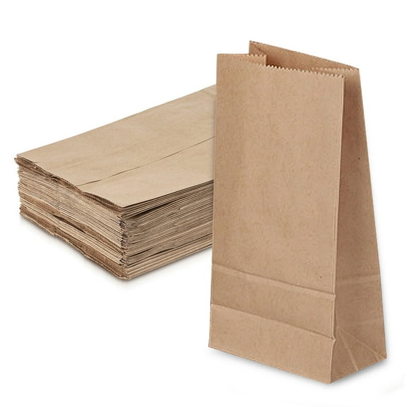 Kraft Brown Paper Bags (50Count) - Kraft Brown Paper Grocery Bags Bulk - Large Paper Bags for Grocery Shopping,,9*5.5*18，G41286