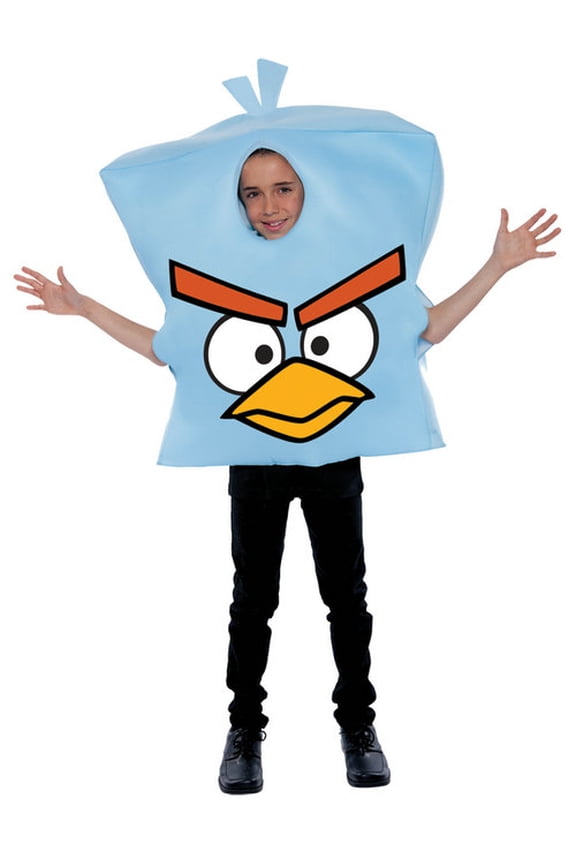 Fancy Dress Costume