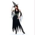 thumbnail image 1 of Paper Magic Group Wicked Of Oz The Wicked Witch Costume Adult Small Female, 1 of 1