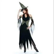Paper Magic Group Wicked Of Oz The Wicked Witch Costume Adult Small Female
