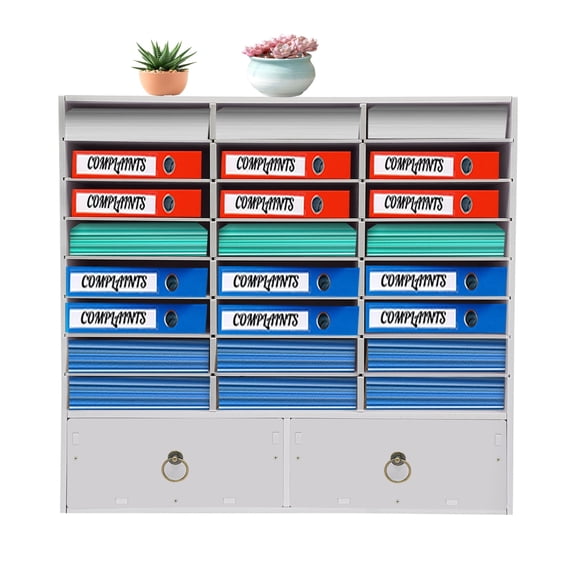 Paper & Mail Organizer Storage Cabinet, Storage Cabinet with 24 Compartments and 2 Drawers,Adjustable Shelves and Stackable for Offices, Classrooms, Living Rooms(White)