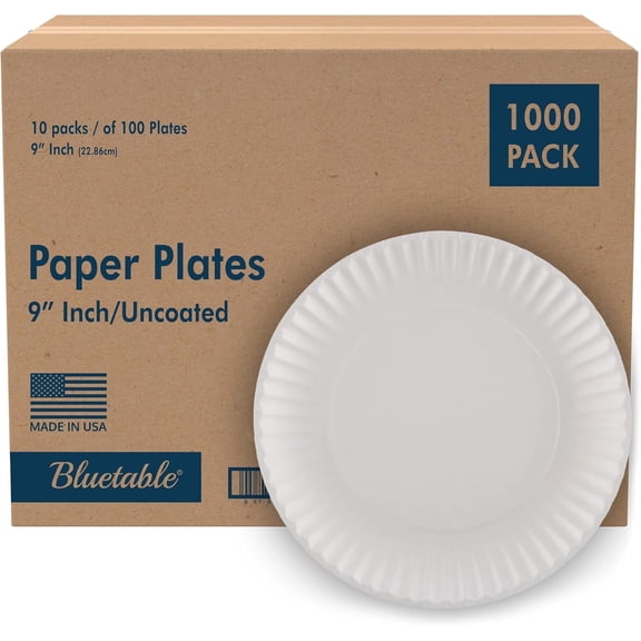 Paper Plates 9 inch, Bulk Everyday Uncoated White 9” Disposable Plate, 1000 Count