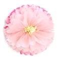 thumbnail image 1 of Paper Pom Poms Tissue Paper Flower Garlands Lotus Style 12" 14", Pink & Light Yellow 10pcs, 1 of 4