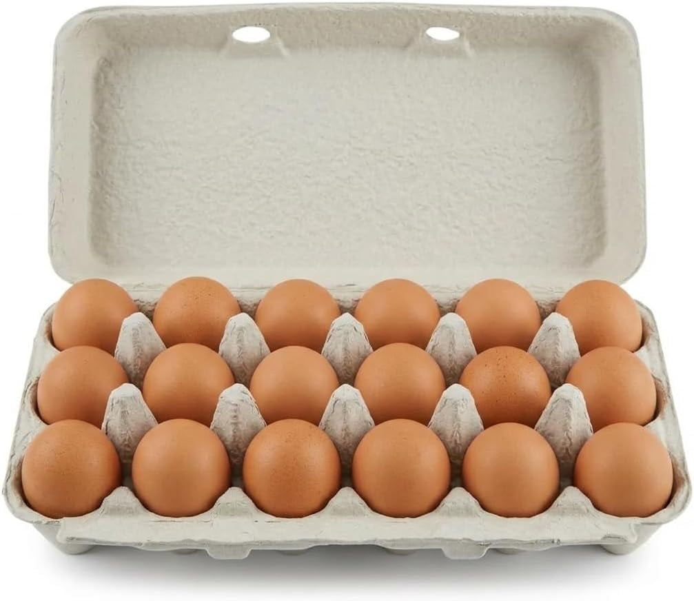 Paper Pulp Egg Cartons For 18 Eggs or Use for Crafting, Parts Storage, Easter (6)