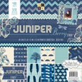 thumbnail image 1 of Paper Stack 12"X12" 48/Pkg-Juniper Berry, 1 of 2