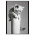 thumbnail image 1 of Paper Towel Climbing Cat Canvas Funny Bathroom Art by Art Remedy, Black Frame, 10" x 15", 1 of 7