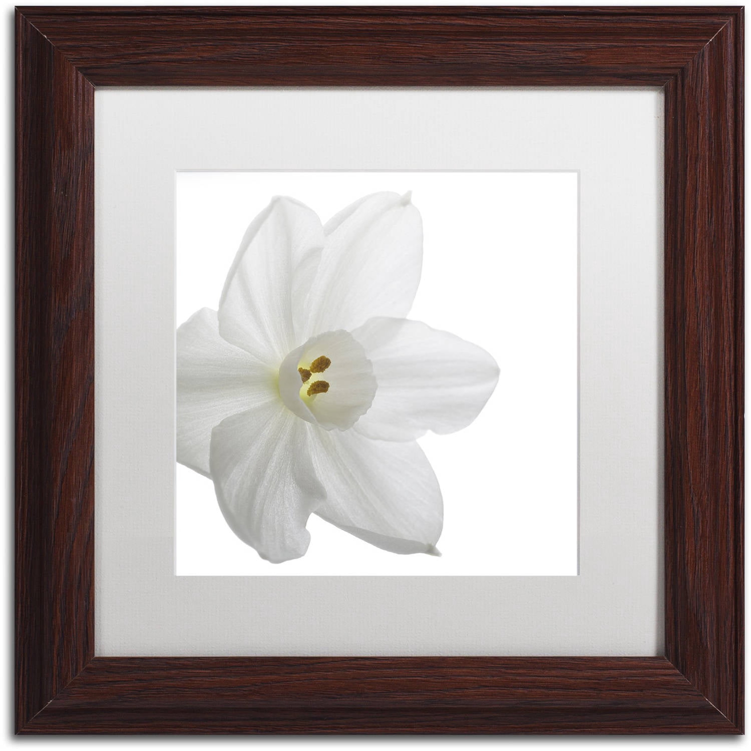 "Paper White" Canvas Art by Kurt Shaffer White Mat, Wood Frame