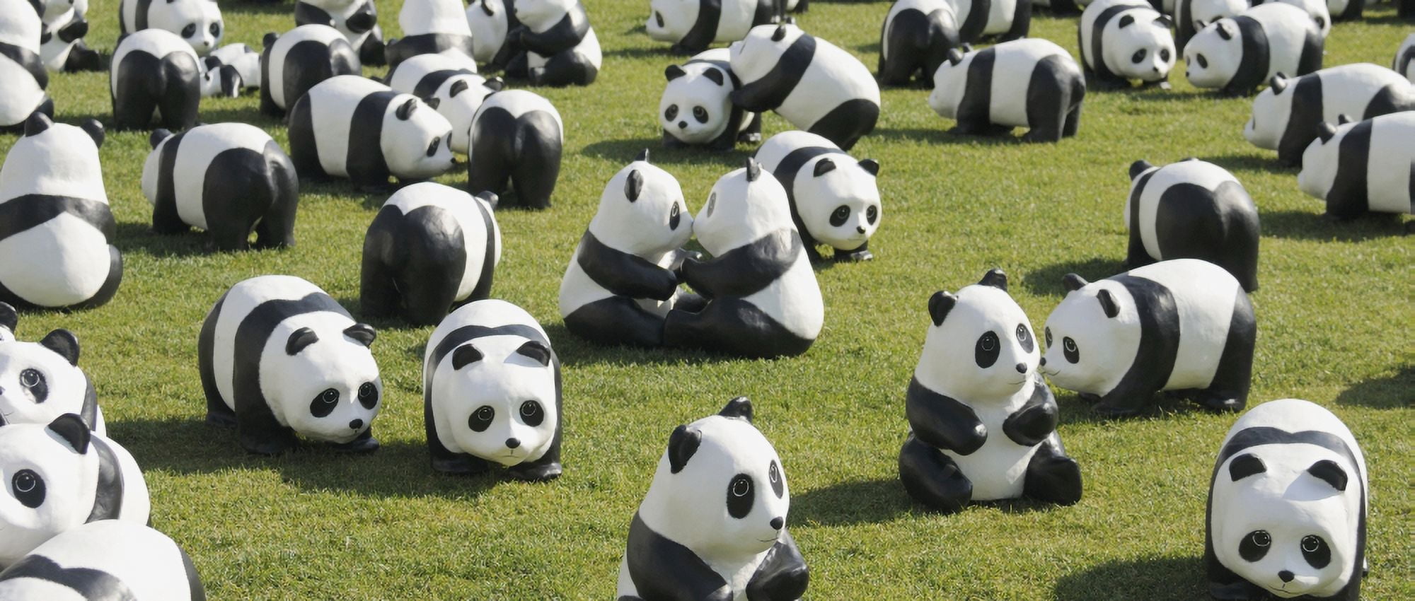 Paper made pandas from World Wildlife Federation at art exhibition Seoul City Hall Seoul South Korea Canvas Art - Panoramic Images (22 x 9)