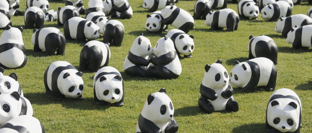Paper made pandas from World Wildlife Federation at art exhibition Seoul City Hall Seoul South Korea Canvas Art - Panoramic Images (29 x 12)