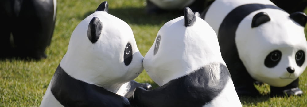 Paper made pandas from World Wildlife Federation at art exhibition Seoul City Hall Seoul South Korea Canvas Art - Panoramic Images (35 x 12)