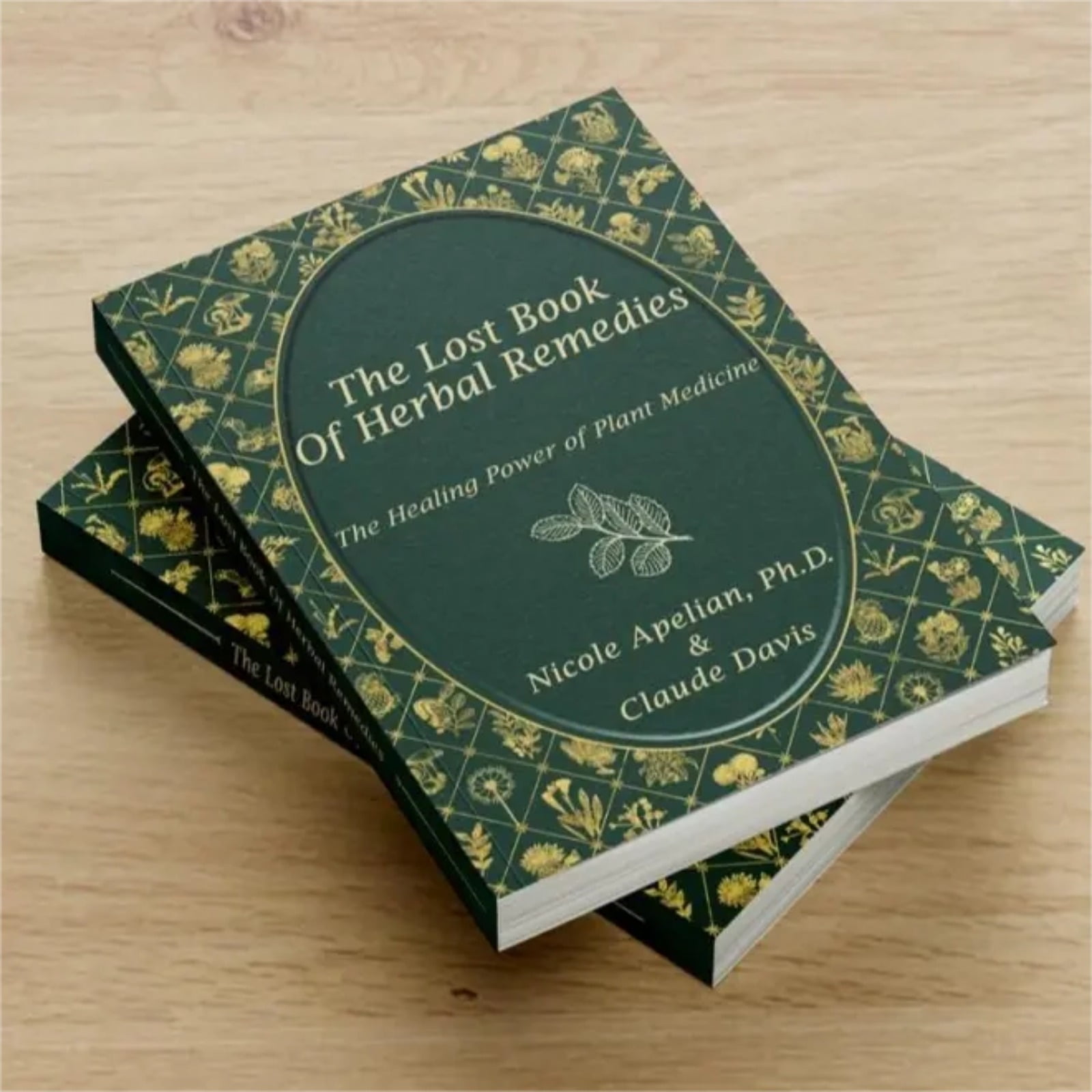 Paperback Heal Holistically with The Lost Book of Herbal Remedies