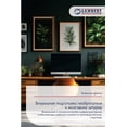 thumbnail image 1 of Визуальная подгото, (Paperback), 1 of 1