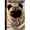 thumbnail image 1 of &amp;#20174;&amp;#28966;&amp;#34385;&amp;#21040;&amp;#25671;&amp;#23614;&amp;#24052;: &amp;#25506;&amp;#32034;&amp;#2939, (Paperback), 1 of 1