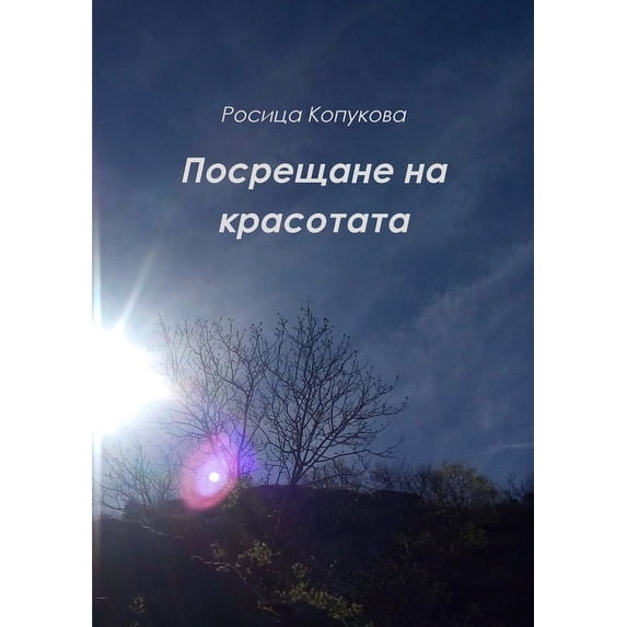Посрещане на красотата (Paperback)