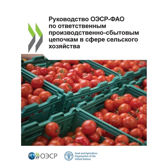 Руководство ОЭСР-ФА, (Paperback)