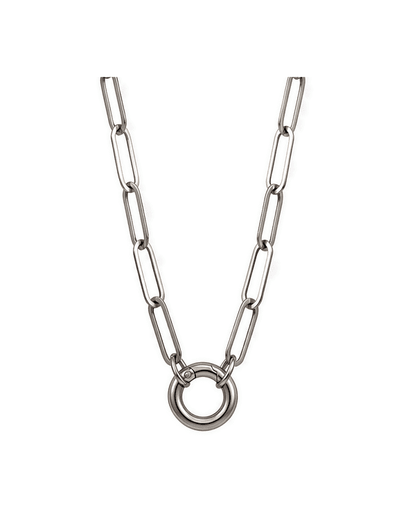 Carabiner Charm Necklace for Women Paperclip Chain Round Carabiner Holder Stainless Steel by Ginger Lyne