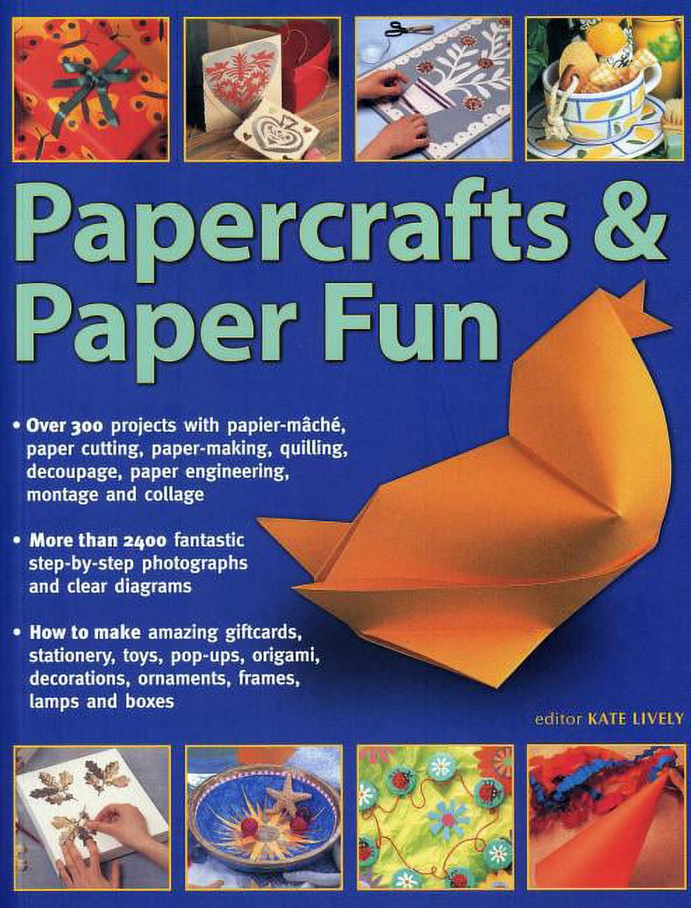 Papercrafts & Paper Fun : Over 300 Projects With Papier-Mache, Paper-Cutting, Paper-Making, Quilling, Decoupage, Paper Engineering, Montage And Collage (Paperback)