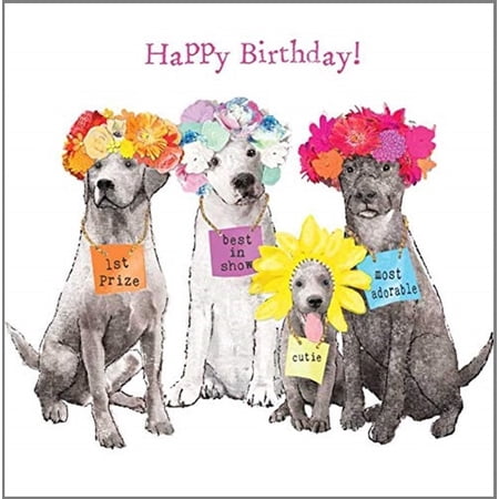 Paperproducts Design - 5" Beverage Napkins - Best in Show Birthday